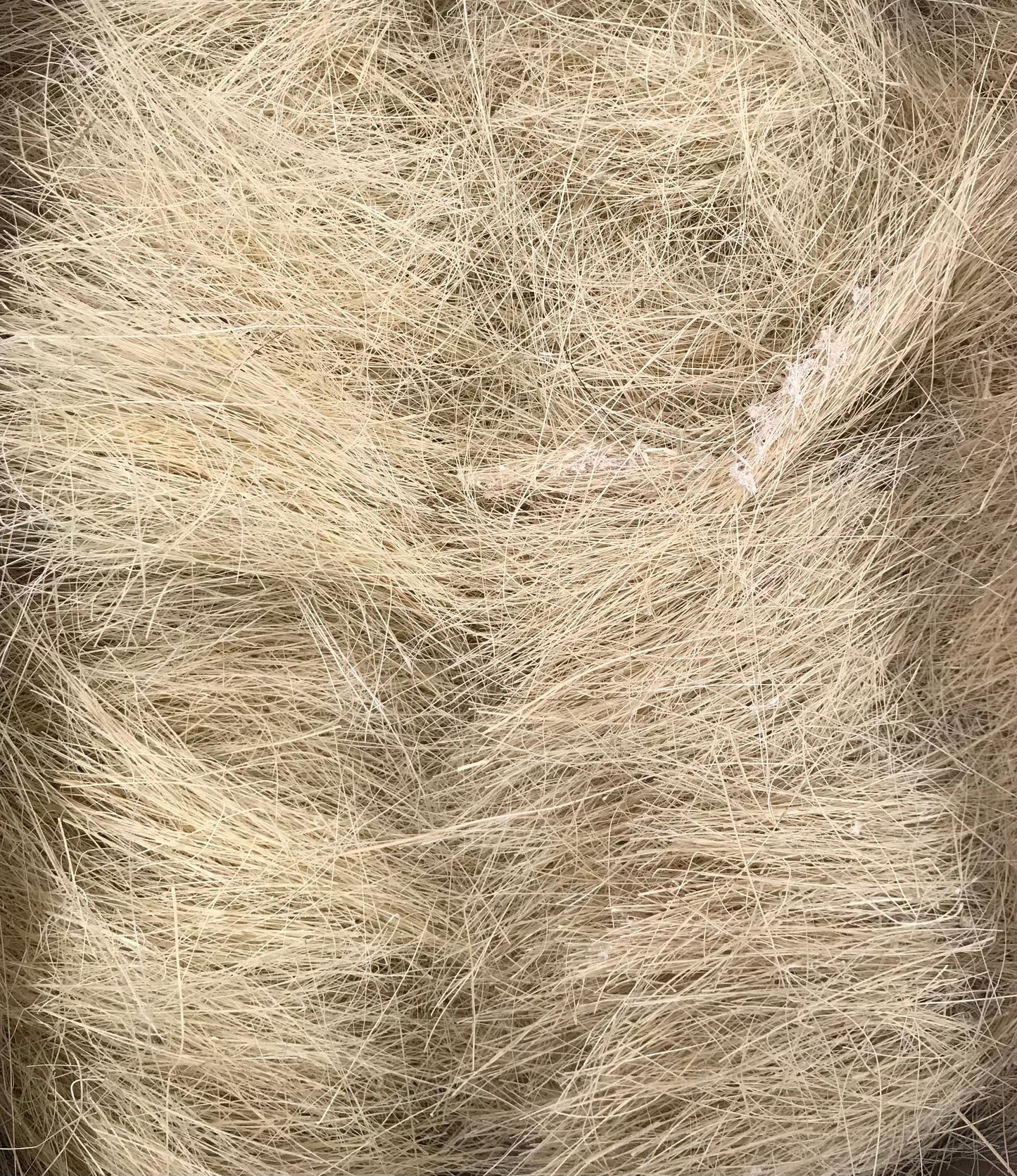 Fibra de Ixtle en Greña | Paquete con 15 kg